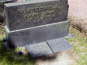 Viimeinen leposija - Sakari Severi Tuomioja