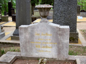 Viimeinen leposija - Wilhelm Snellman 