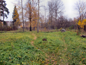 Viimeinen leposija - Valdemar Kosonen