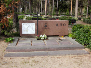 Viimeinen leposija - Martti Johannes Aho