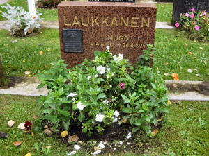 Viimeinen leposija - Hugo Laukkanen