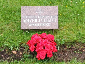 Viimeinen leposija - Toivo Kaarlo Manninen