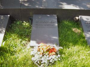 Viimeinen leposija - Toivo Nikolai Honkaniemi