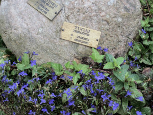 Viimeinen leposija - Teuvo (alp. Theodor Antonius Deroschinsky-Tugai Tulio 