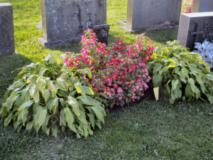 Viimeinen leposija - Veli-Matti Kaitala 